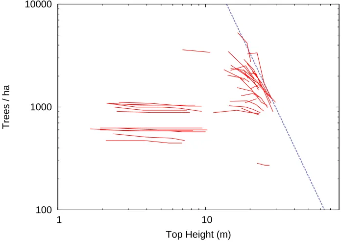 Figure 7:Self-thinning limiting line for the spruce model. Logarithmic axes.