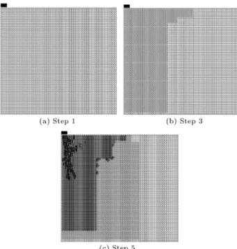 Figure 9. Trapdoor problem.
