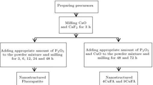 Figure 1. Flowchart indicating preparation procedure for FA, 4CuFA, and 9CuFA powders through mechanochemical route.