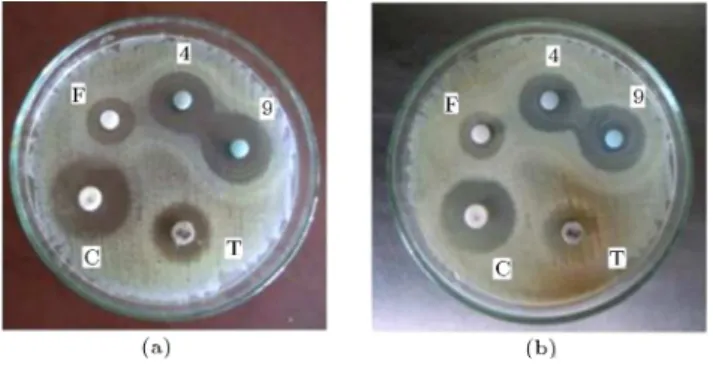 Figure 12. Results of disc diusion test of the synthetized samples after (a) 20 h and (b) 45 h of incubation