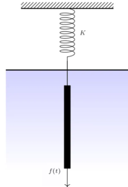 Figure 1. An immersed plate in a Newtonian uid [2].