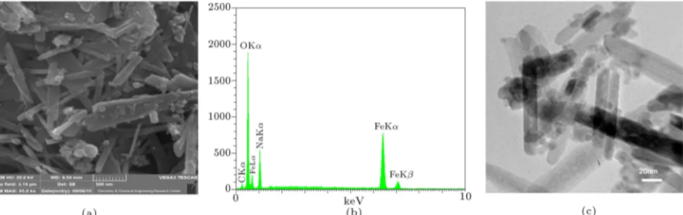 Figure 4. (a) SEM image, (b) EDX analysis and (c) TEM image of PMAA-Fe 3 O 4 .