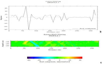 Fig. 5. The graph of the Filtered Real and Filtered Imaginary, smoothed in-phase Fraser filter and Inverted 2-D pseudo sections of the VLF-EM real component data for the profile 3  