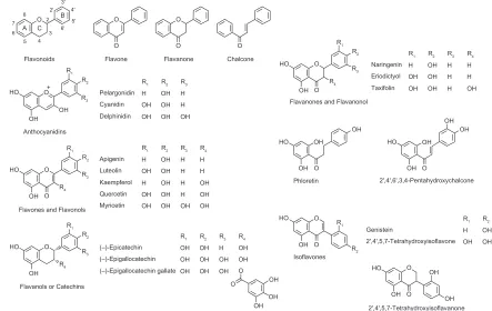 Figure 1 Wine flavonoids and related structures tested in this study.