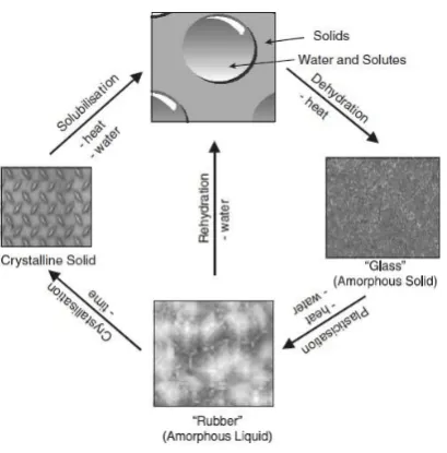 Figure 8. Formation of amorphous structure and the relationship between equilibrium (solution, crystalline solid) and non-equilibrium (amorphous solid and liquid) states (Roos, 2002; 2004)