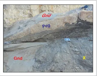 FIGURE 10 – Field relationship highlighting the intrusive contact of the GJS granodiorite (Gnd) in the schist biotite of the Seridó Formation (X), both later intruded by a pegmatitic dike (Peg).