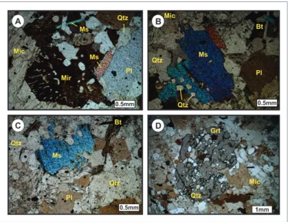 FIGURE 11 – Photomicrographs of the monzogranitic facies showing: A) Myrmekitic texture (Mir) of the bulbous type at the microcline (Mic) and plagioclase (Pl) contact