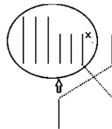 Fig. 11. A “typical” Case 1.