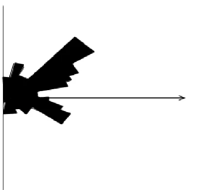 Fig. 6. Directional frequency rose diagram of  interpreted fractures  