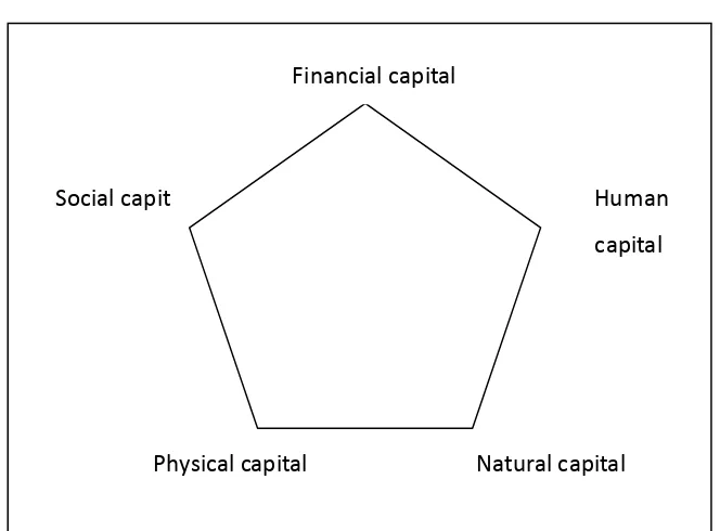 Figure 3 The Livelihoods Assets Pentagon 