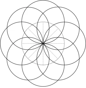 Figure 1: The order eight rosette
