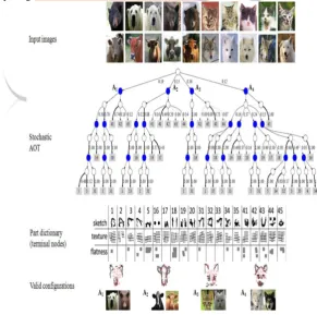 Figure 9 :AND-OR Template(AOT) learned by 200 animal faces of  divided into four categories.Empty circle denoted by OR nodes.Shaded circle denoted by AND nodes which are combination of terminal nodes