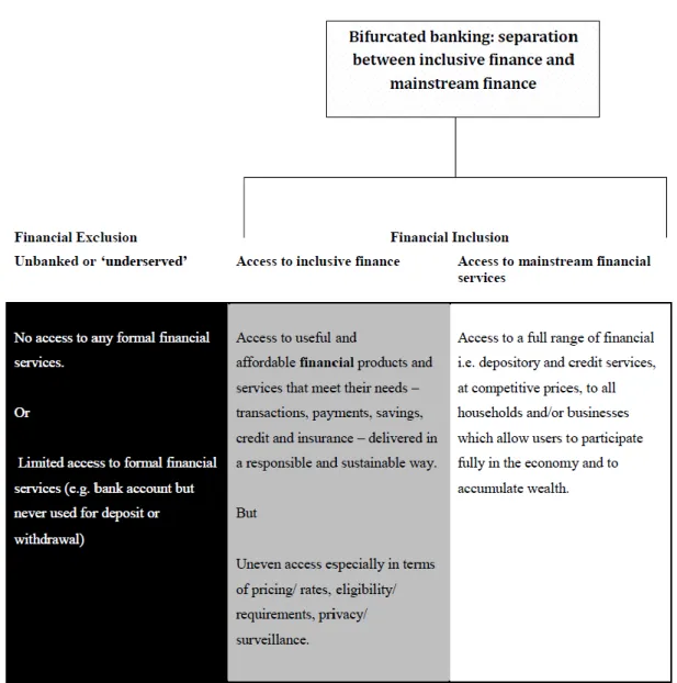 Figure 1: Bifurcated banking and the grey area between financial exclusion and access to mainstream  finance 22, 23