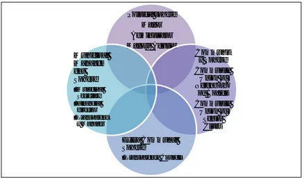 Figure 1: GAM Analysis Spheres in Calle Larga (source: author) 