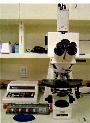 Figure 2.6. cells with each number The Zeiss rrucroscope and counter used for sconng the micronucleus assay