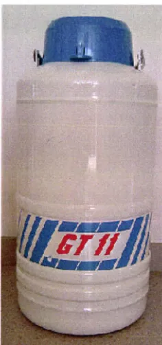 Figure 2.8. The l lL liquid nitrogen dewar utilised for cryopreserving the 