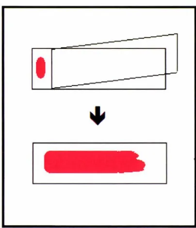 Figure 2.9. A schematic illustration of the process to obtain a blood smear for analysis