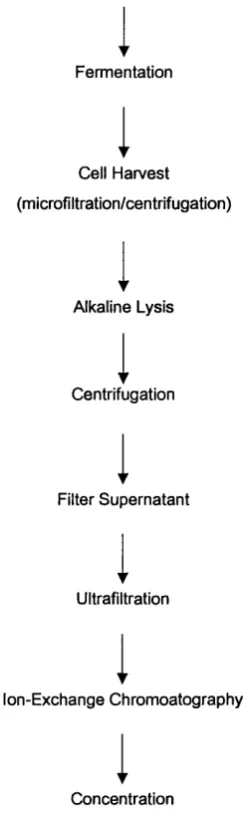 Figure 1.1: General process flow diagram for the industrial purification of plasmid DNA (Horn etal., 1995).