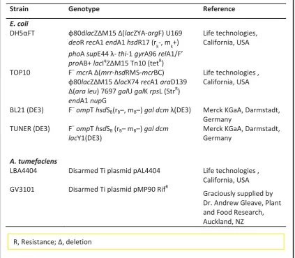 Table 2.1. Escherichia coli and Agrobacterium tumefaciens strains 