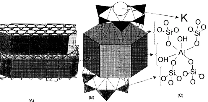Figure (A) 2.2: Illustration of the basic 2: 1 layer silicate mineral structure: the clay stack formation, with K (white circle) in the interlayer spaces (A), a single 2: 1 silicate layer, consisting of a central Al-octahedon sheet sandwiched by two rings 