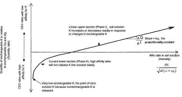Figure 2.4: Typical quantity intensity curve in a 2: 1 layer silicate soil exchangeable system dominated by Ca (after Beckett, 1 964 and Evangelou et aI., 1 994)