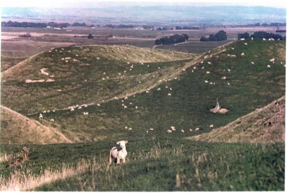 Figure 2.7: lIIustration of the way grazing stock favour flatter ground in hilly pastures, particularly the ridge-tops