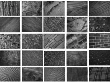 Figure 17. All 25 classes of UIUC dataset.