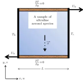 Figure 1. Physical conguration of studied problem and Cartesian coordinates, where L = 1.