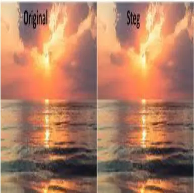 Fig 5.2 Stego Image Result of Lsb Embedding Technique  