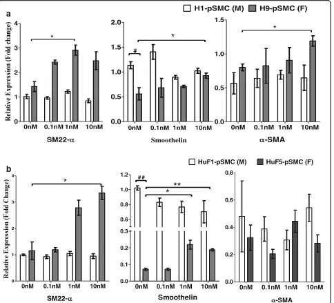 Fig. 4 E2 stimulation induces the expression of myogenic marker in female smooth muscle progenitor cells (pSMCs) (a, b)