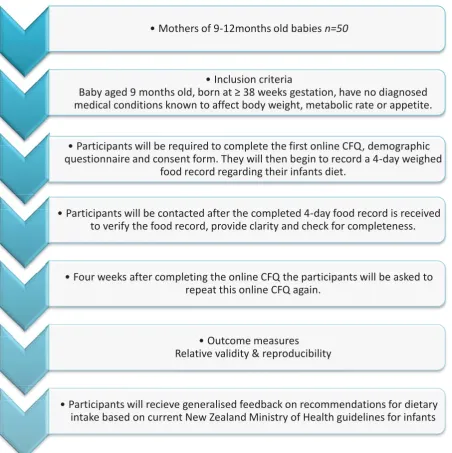Figure A.1 Validation of a complementary food questionnaire (CFQ) against a 4 day weighed food record in 9-12 month old infants study flow diagram