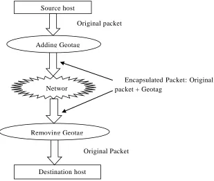 Fig 2. Geotagging IP Packet 