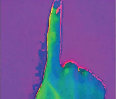 Fig. A: RGB Image 