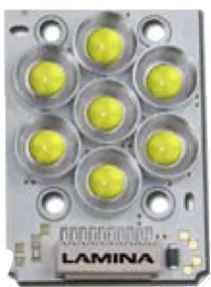 Figure 14 Lamina Atlas 