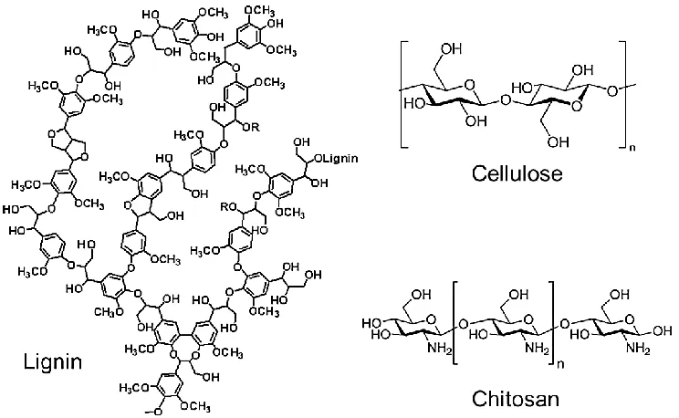 Figure 1.3 Naturally occurring polymers obtained from renewable biomass.  