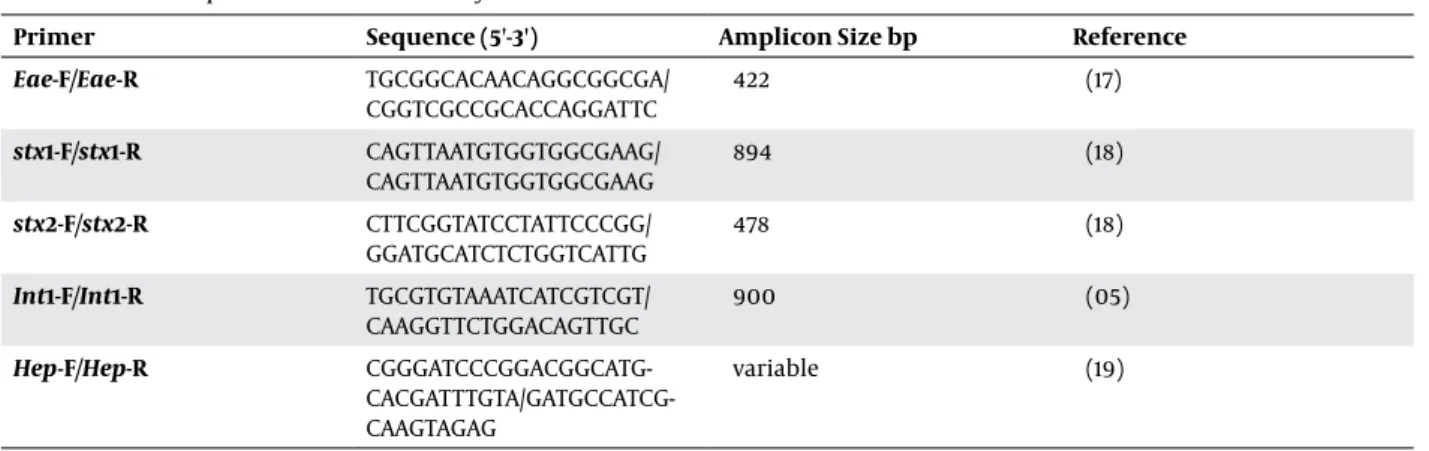 Table 1. Primers Sequences Used in This Study