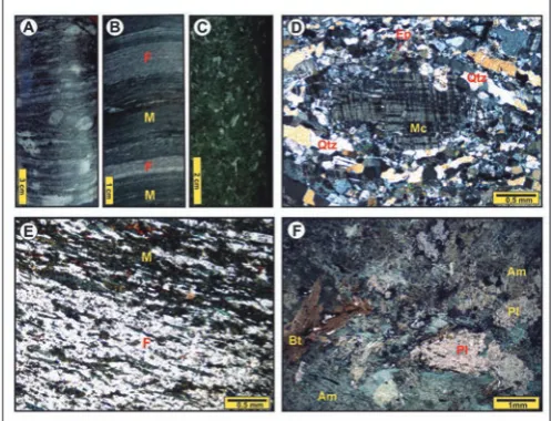 Figure 6 - Petrography of the upper compartment (Jucurutu Formation) units: (A) marble drill core showing interdigitation of light and dark gray beds; (B) chevron-like folds in drill-core of the banded iron formation; (C) photomicrograph of marble formed b
