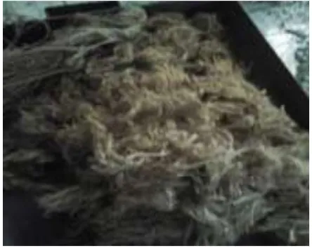 Fig 1. Jute fibres 