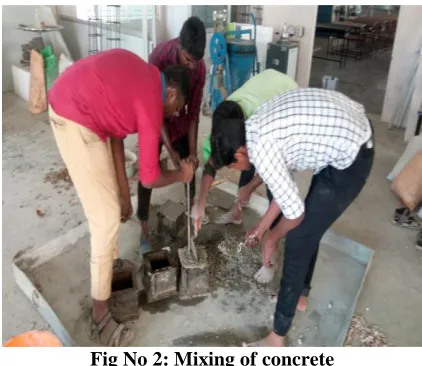 Fig No 1: Coconut shell waste 