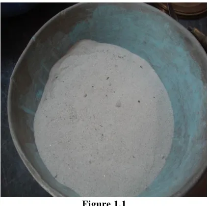 Figure 1.1  