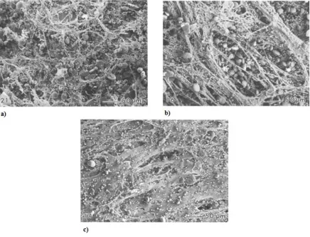 Figure 2.5 a) Underworked dough showing stretching and partial formation of gluten protein