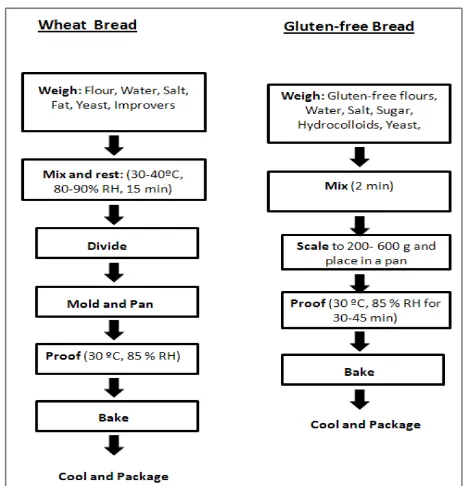 Figure 2.6 Wheat and gluten-free baking processes 