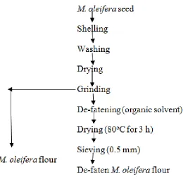 Fig. 1. Production of M. oleifera flour (Modified Ghebremichael, [6] method) 