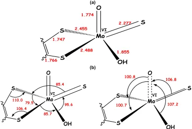 Fig. 3. The bonding description for the reductive half reaction active site of  bmXOR (PDB accession code of 1V97) [24], showing bond distance (Å) and bond angles ().The illustration is adapted from reference [24] 