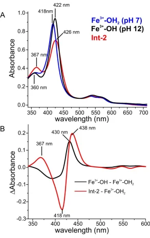 Figure 2.15 (A) Comparison of the optical absorption spectra of OleT ferric-Henzyme.  The ferric-hydroxide form was generated by a rapid pH jump to 12, and is stable for several seconds prior to decomposition