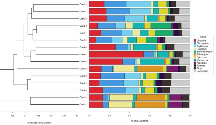 Fig. 4. Unweighted pair-group method with arithmetic means (UPGMA) analysis of microbial community structure based on ITS gene amplicon sequencing data 