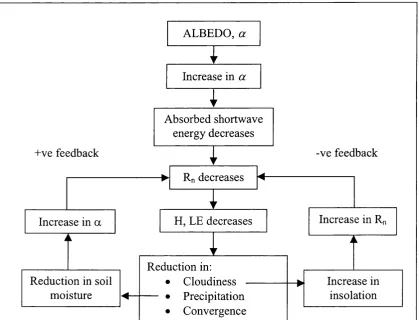 Figure 1.2 Potential positive and negative feedback loops resulting from large- scale change of surface albedo, a