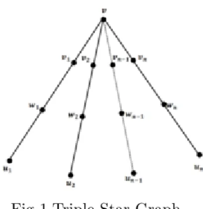 Fig 1.Triple Star Graph