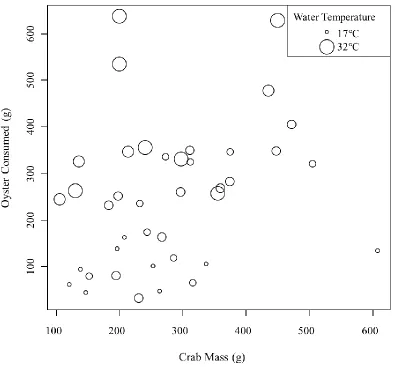 Figure 3.4. The consumption rates of stone crabs on oysters with the corresponding water temperature