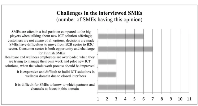 Fig. 2. Challenges in the interviews SMEs in wellness and healthcare sector 